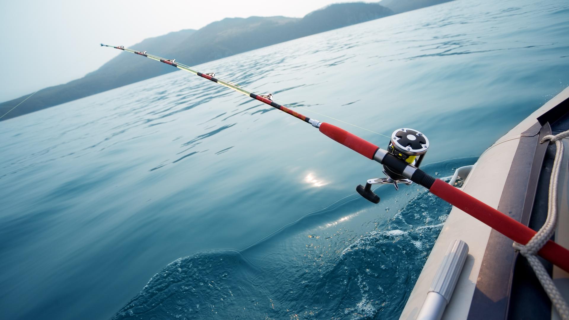 Inqu Ritos Pesca L Dica Embarcada E Ou Submarina Pesca L Dica